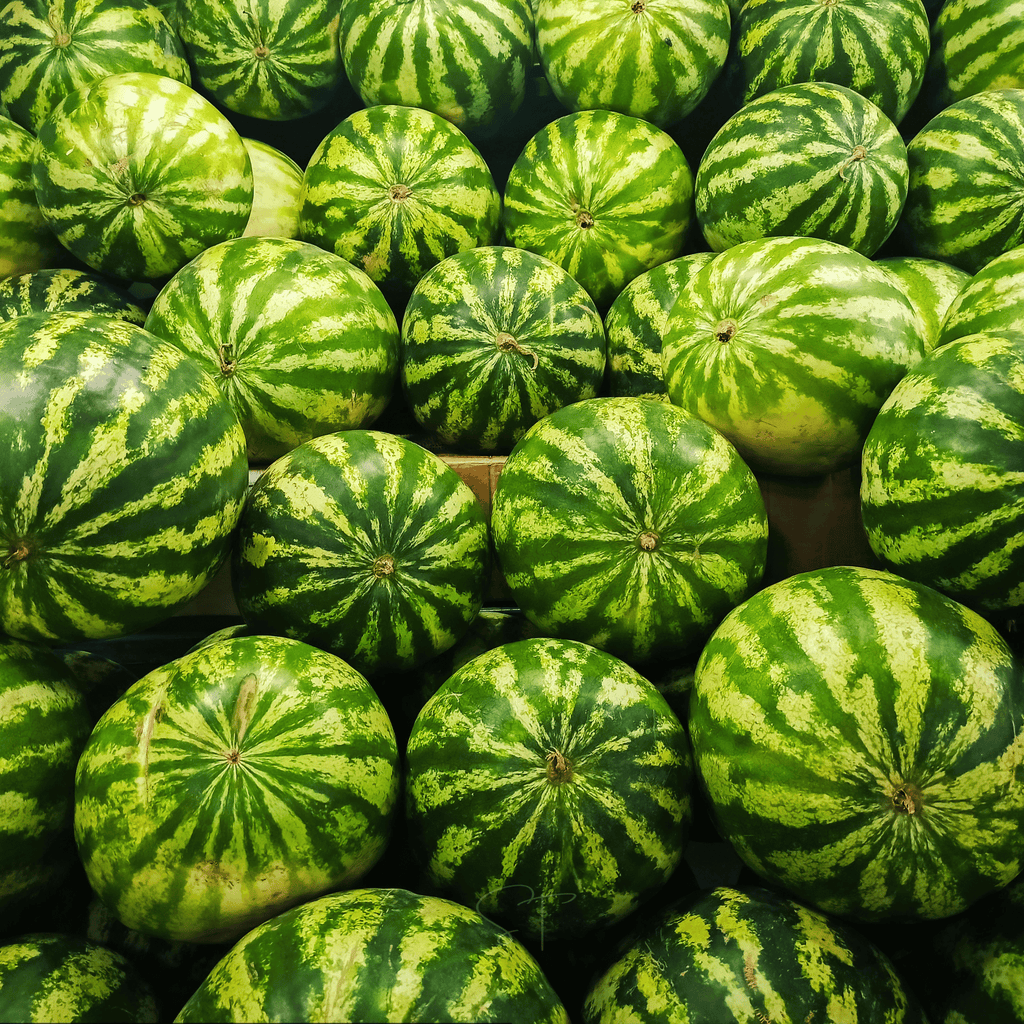 All Sweet Watermelon – 25 Seeds Southern Seeds