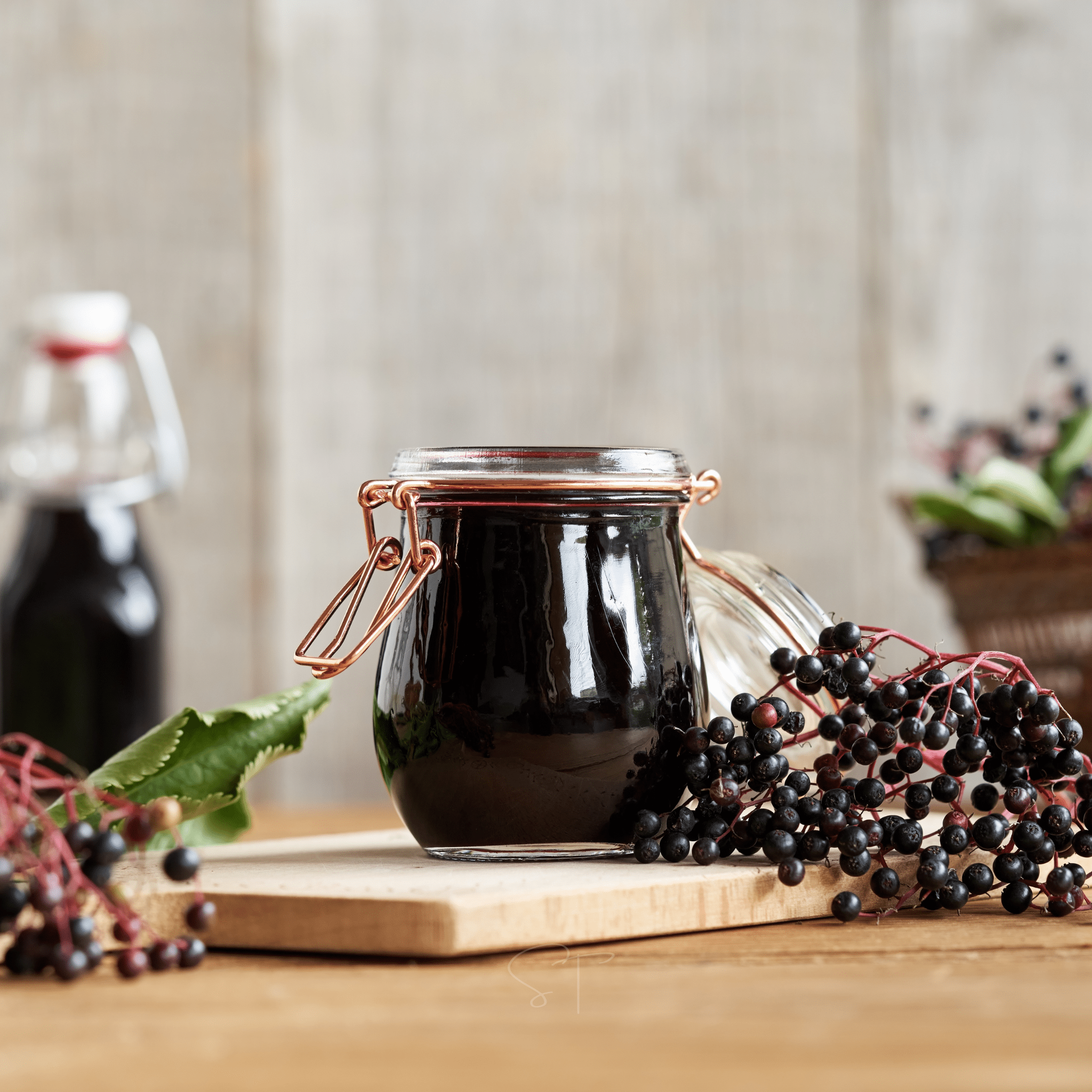 American Black Elderberry – 50 Seeds Southern Seeds