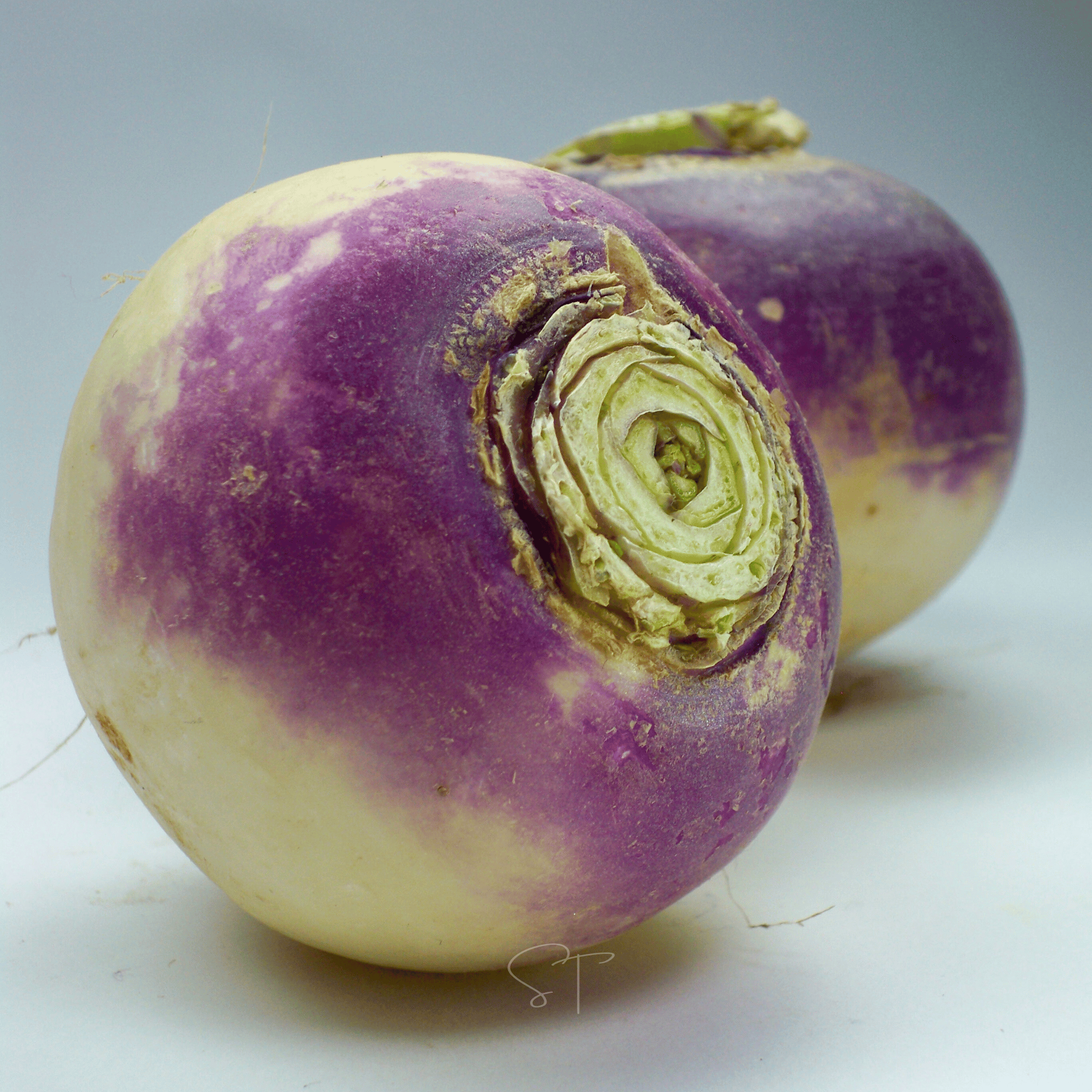 American Purple Top Rutabaga – 200 Seeds Southern Seeds