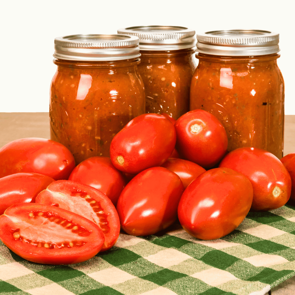 Amish Paste Tomato – 30 Seeds Southern Seeds