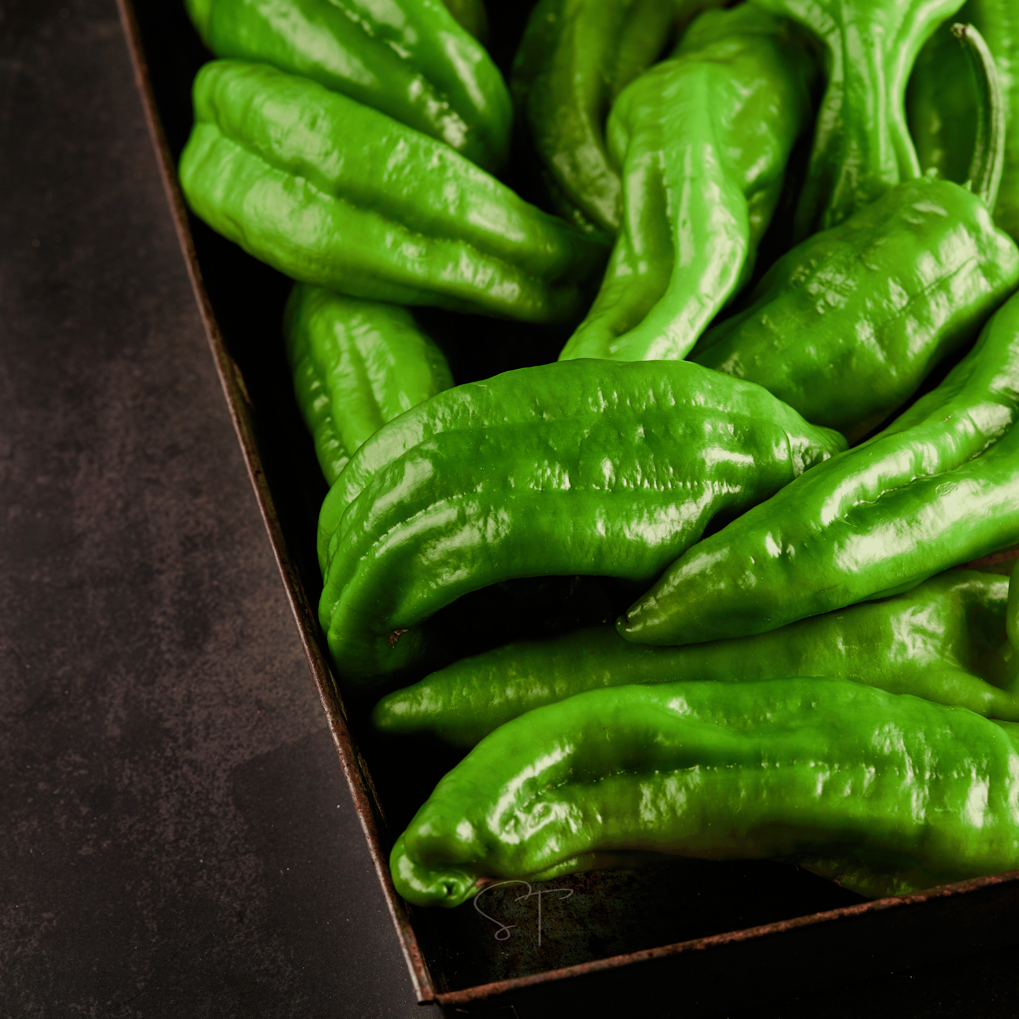 Anaheim Chili Pepper – 25 Seeds Southern Seeds