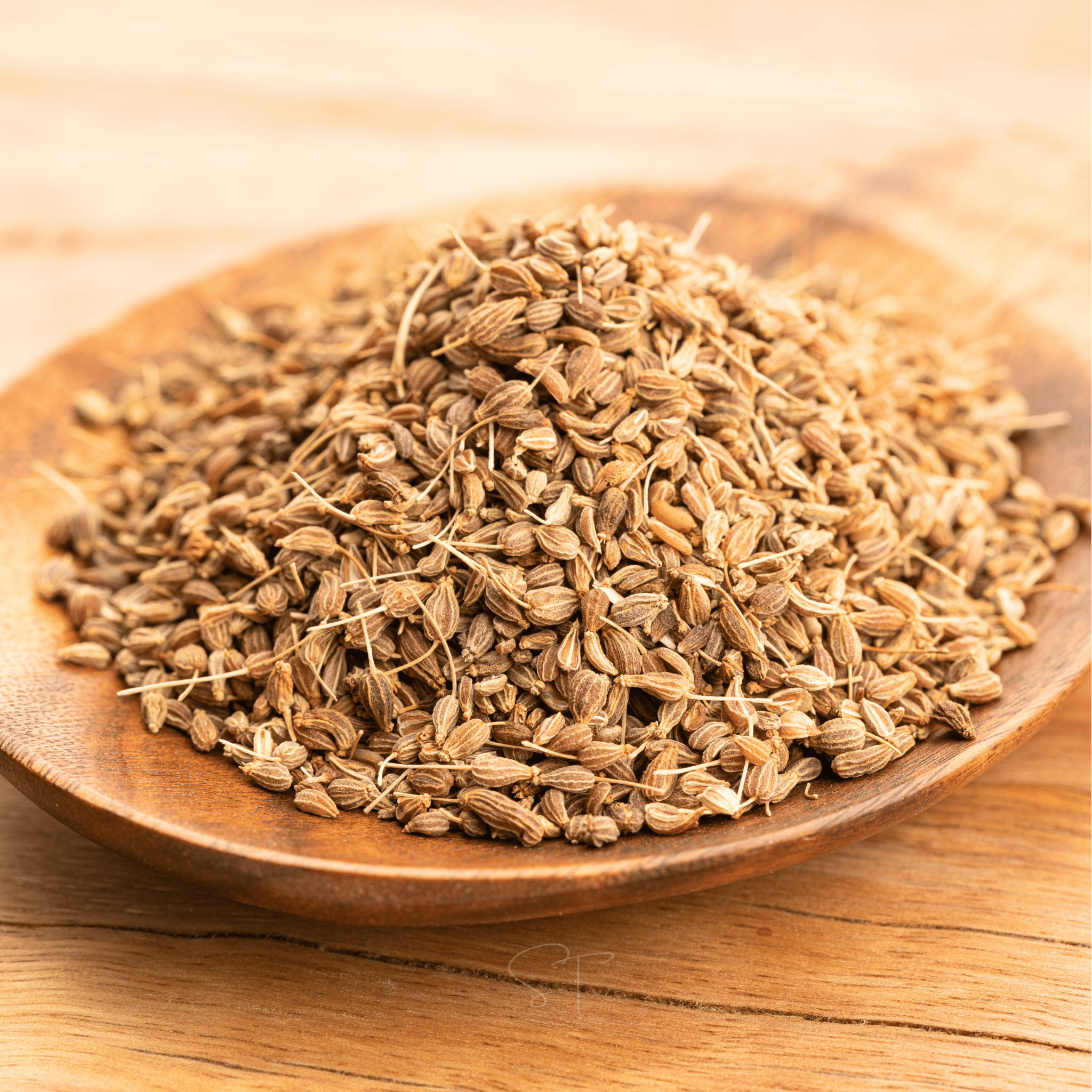 Anise – 100 Seeds Southern Seeds
