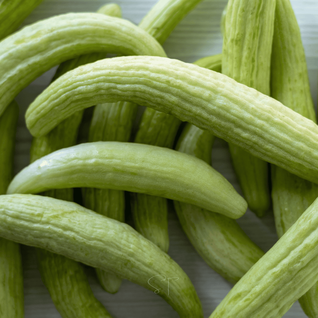 Armenian Yard-Long Cucumber – 30 Seeds Southern Seeds