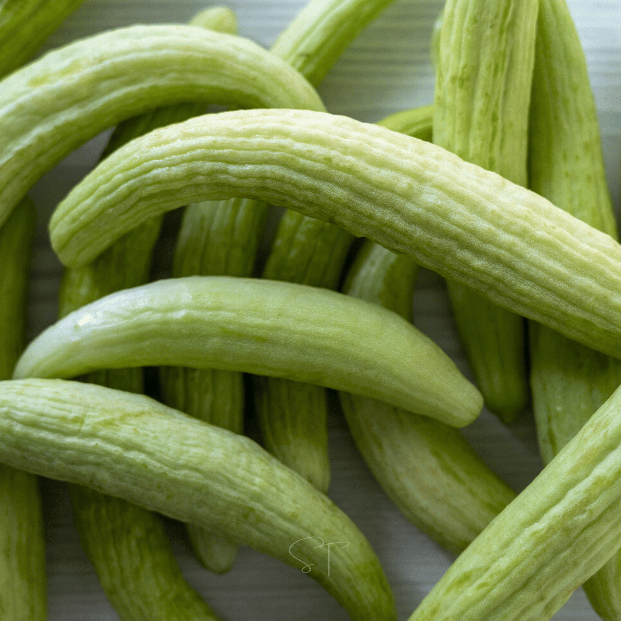 Armenian Yard-Long Cucumber – 30 Seeds Southern Seeds