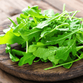 Arugula – 200 Seeds Southern Seeds
