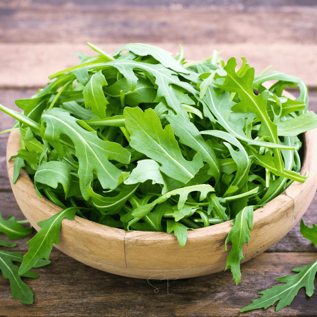 Arugula – 200 Seeds Southern Seeds