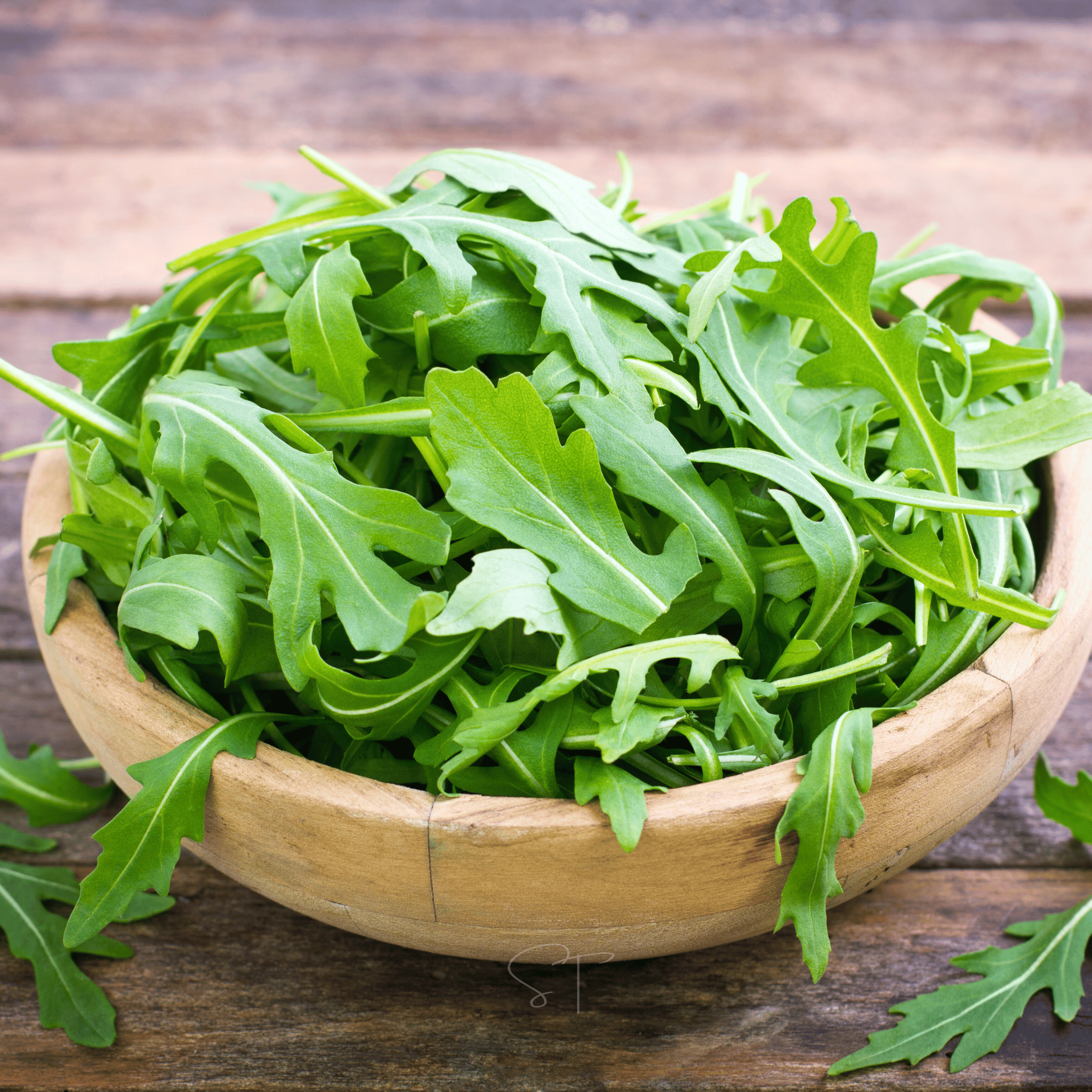 Arugula – 200 Seeds Southern Seeds
