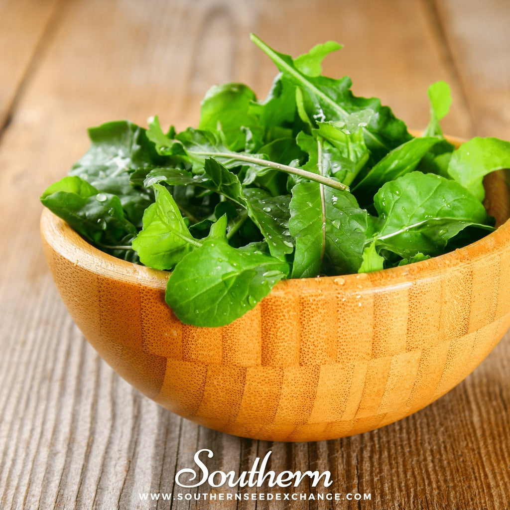 Roquette Arugula – 200 Seeds Southern Seeds