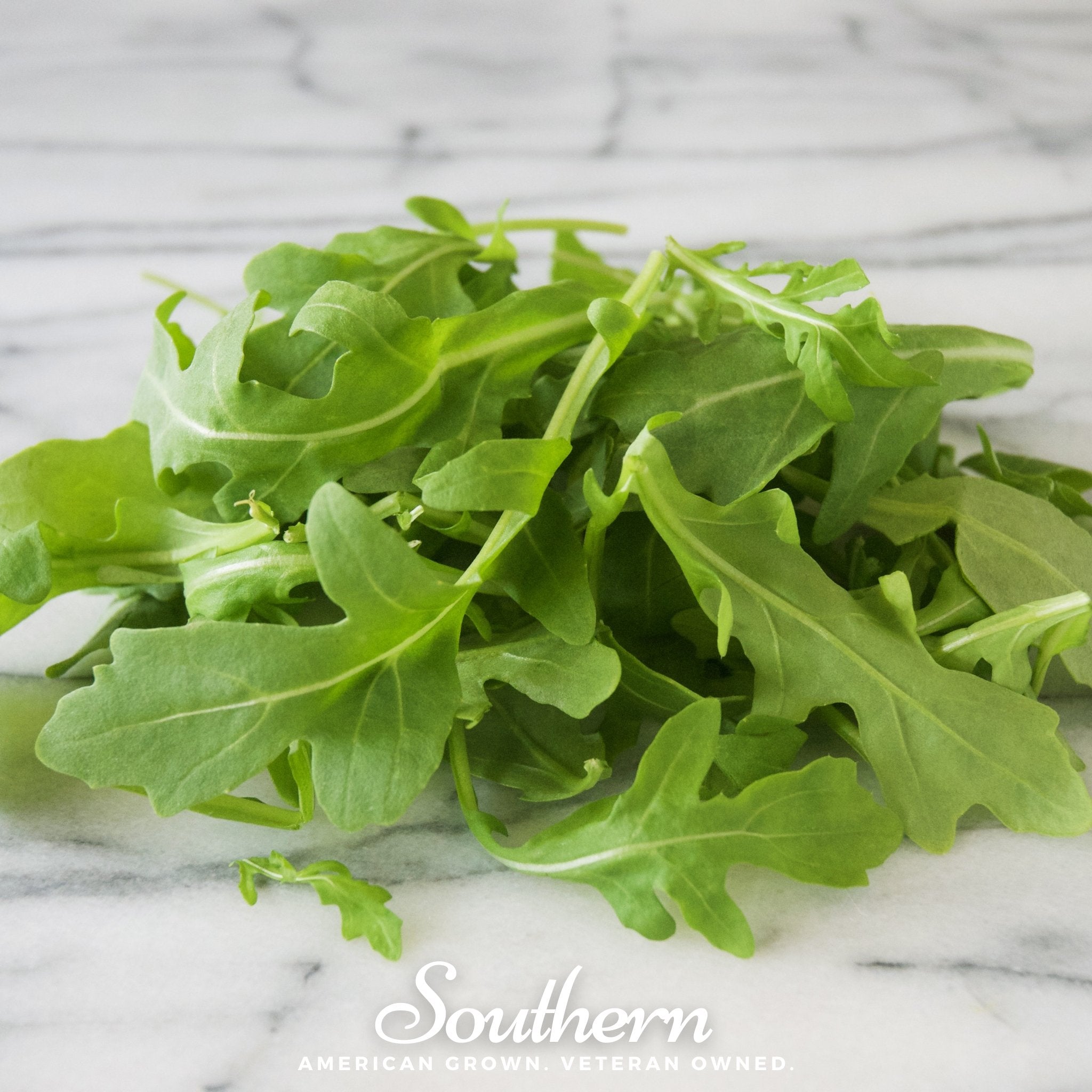 Wild Arugula – 500 Seeds Southern Seeds