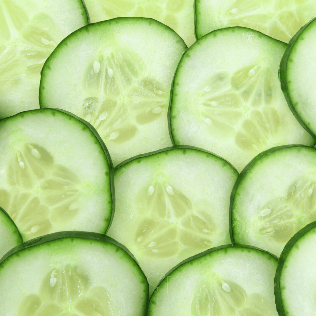 Ashley Cucumber – 30 Seeds Southern Seeds