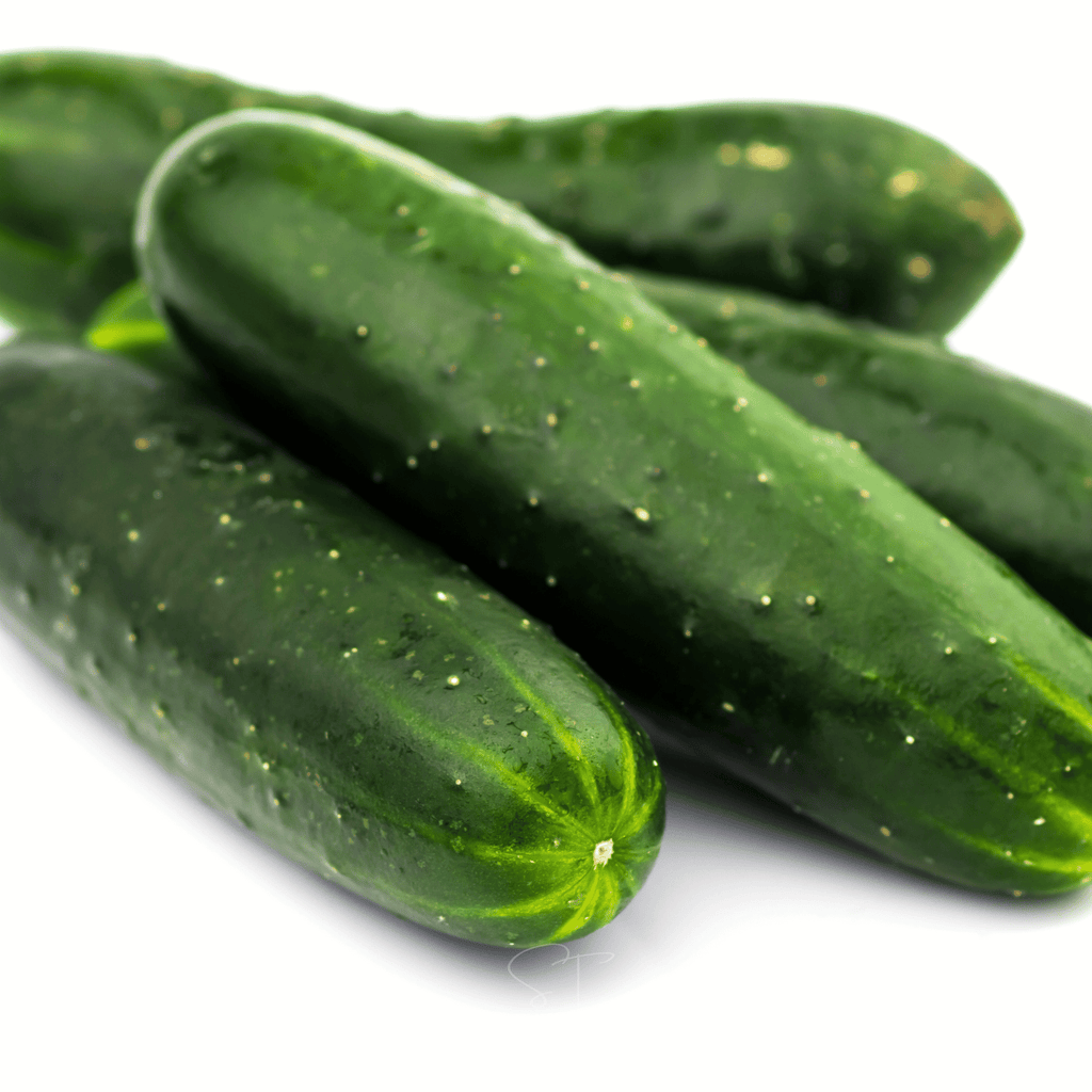 Ashley Cucumber – 30 Seeds Southern Seeds