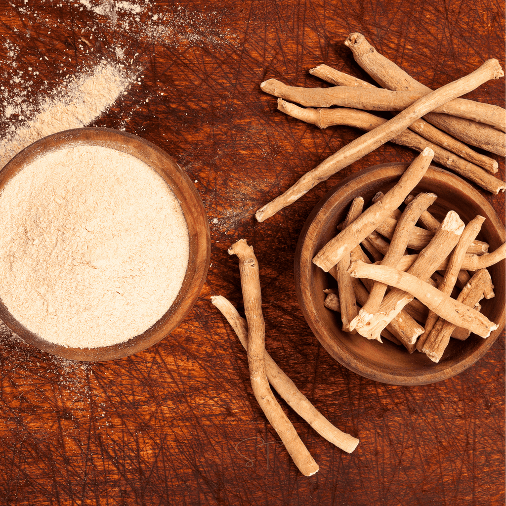 Ashwagandha (Indian Ginseng) – 30 Seeds Southern Seeds