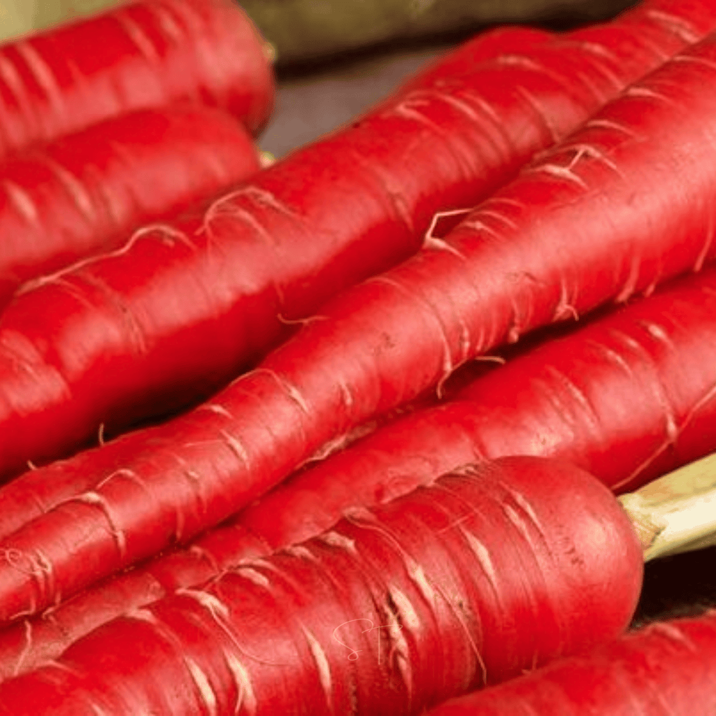 Atomic Red Carrot – 250 Seeds Southern Seeds
