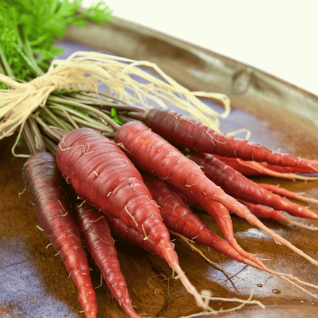 Atomic Red Carrot – 250 Seeds Southern Seeds