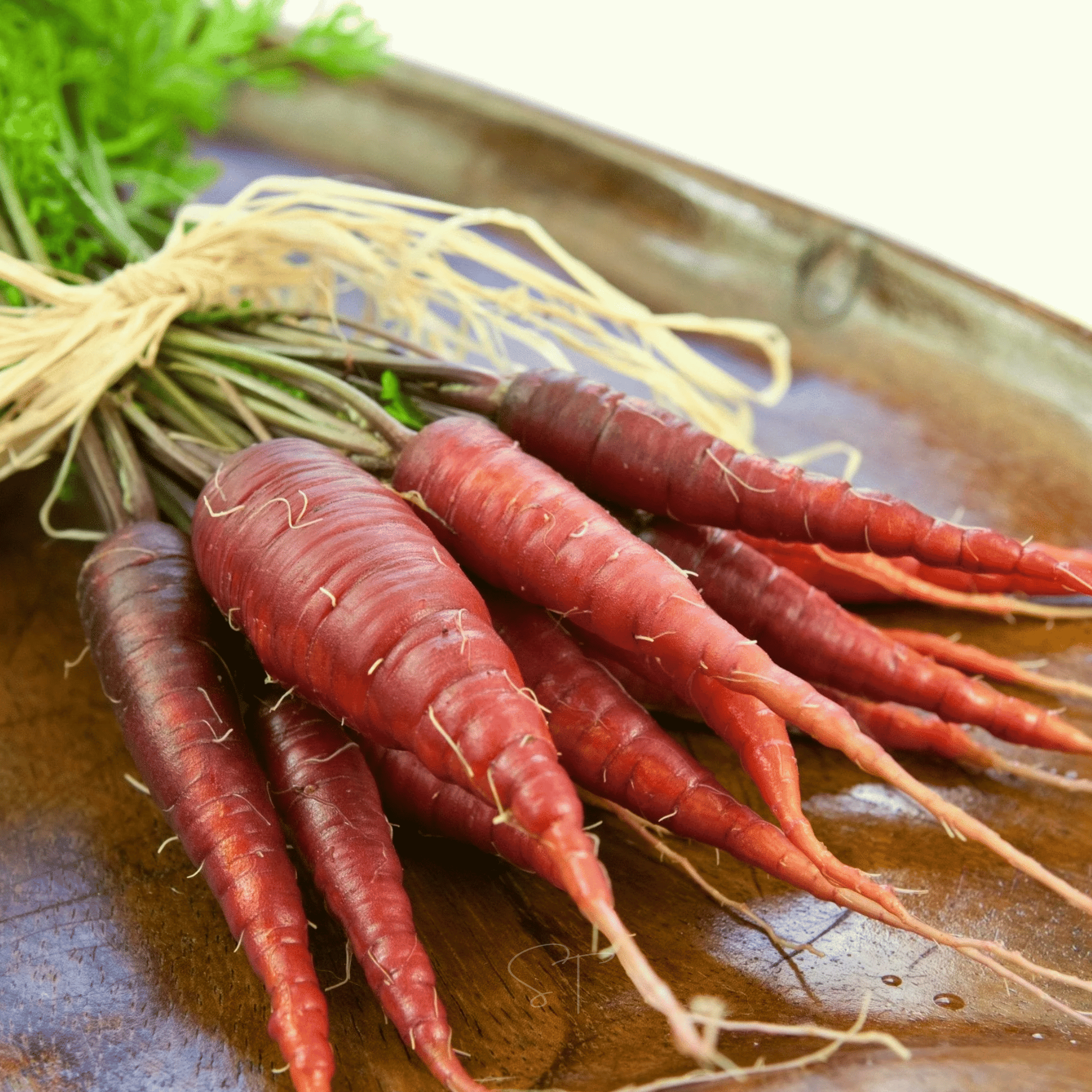 Atomic Red Carrot – 250 Seeds Southern Seeds