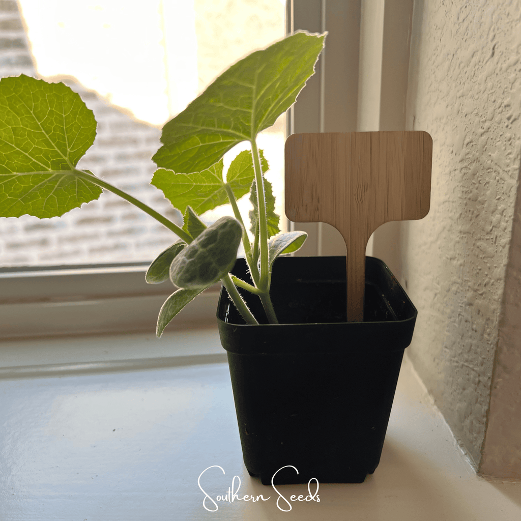 Bamboo Plant Markers – 5 Count Southern Seeds