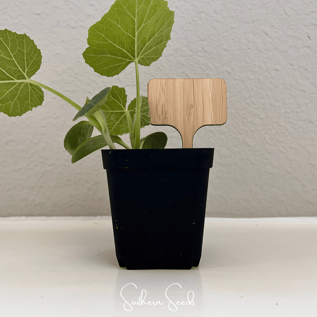 Bamboo Plant Markers – 5 Count Southern Seeds
