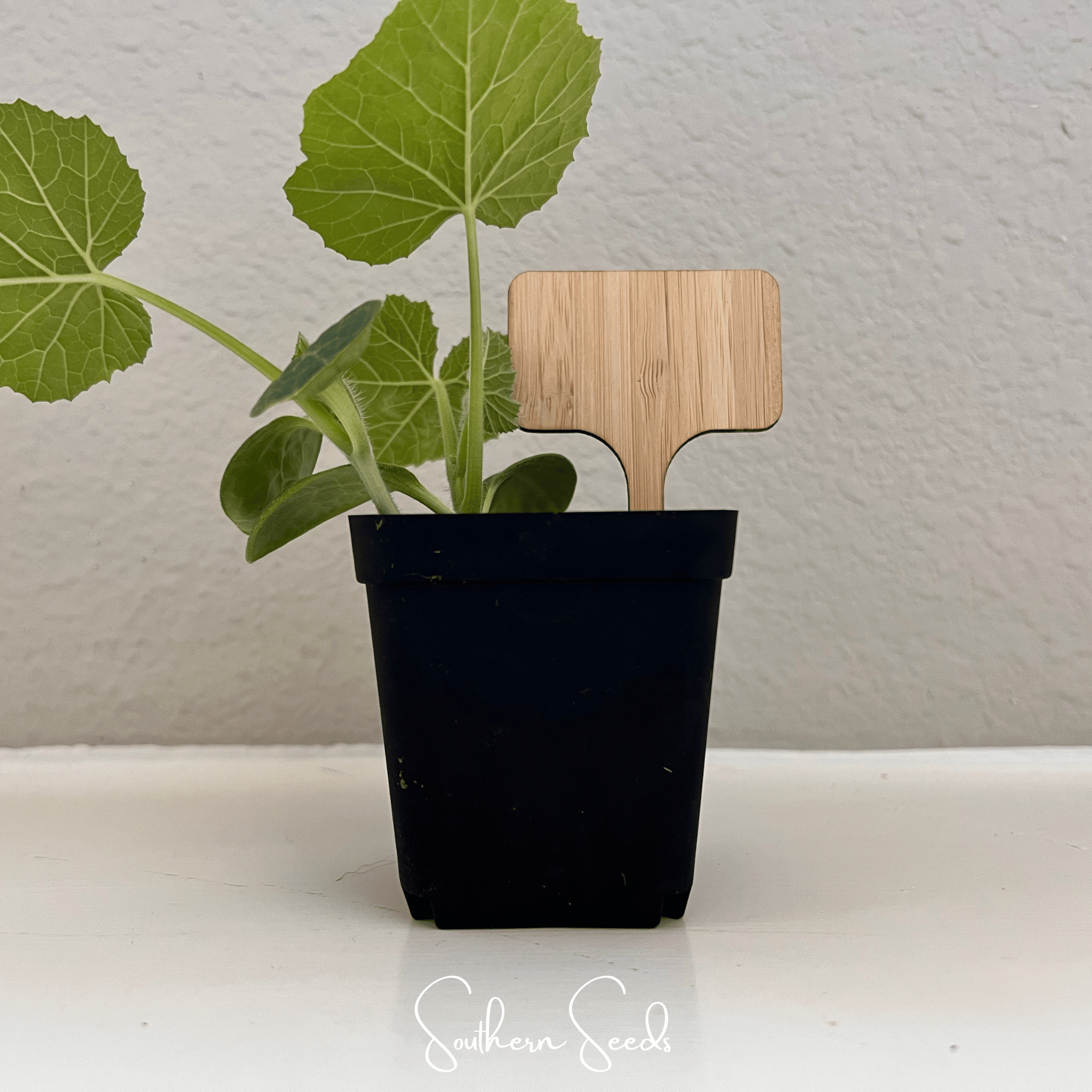 Bamboo Plant Markers – 5 Count Southern Seeds