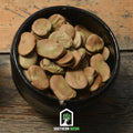 Broad Windsor Fava Bean – 10 Seeds Southern Seeds
