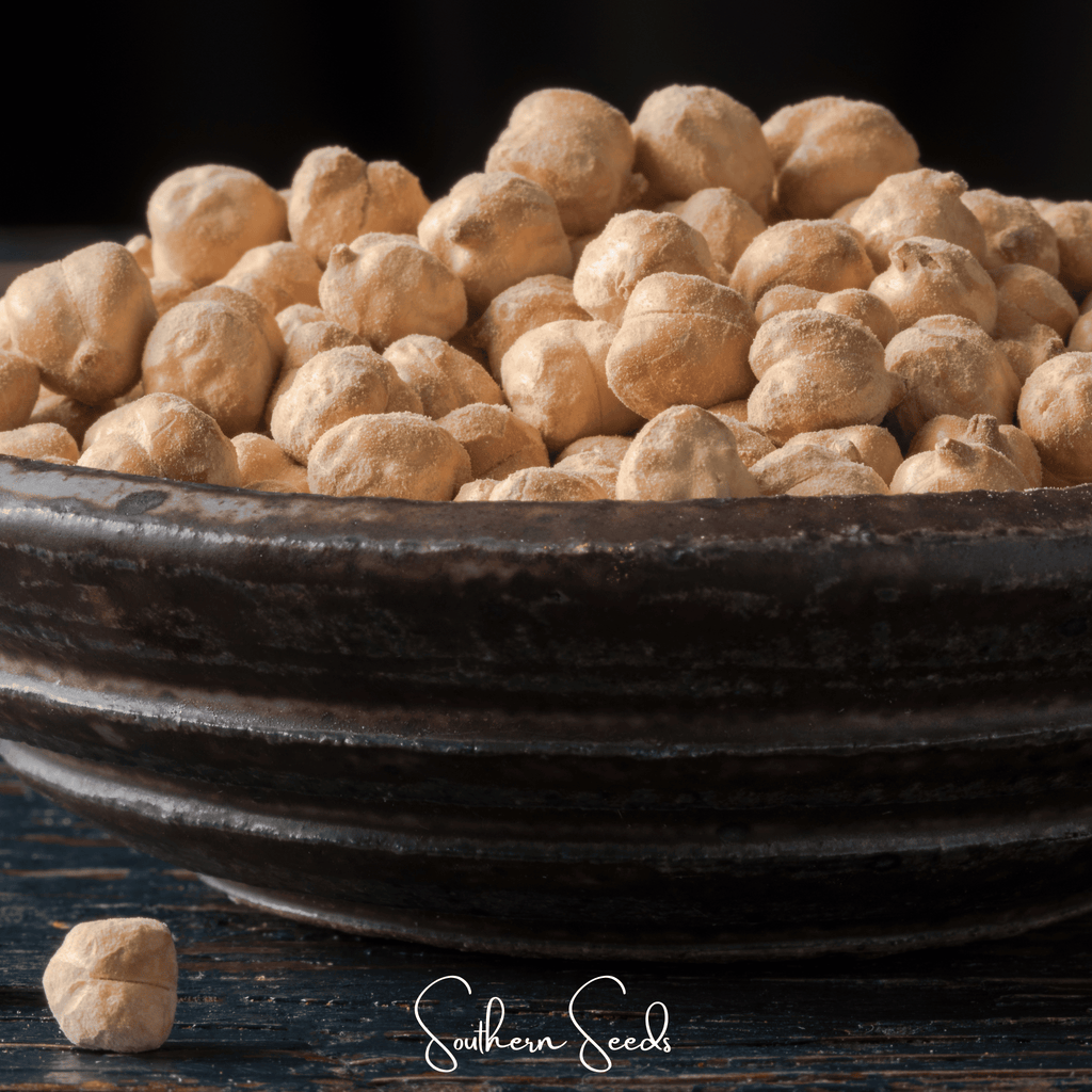 Garbanzo Bean – Chickpea – 20 Seeds Southern Seeds