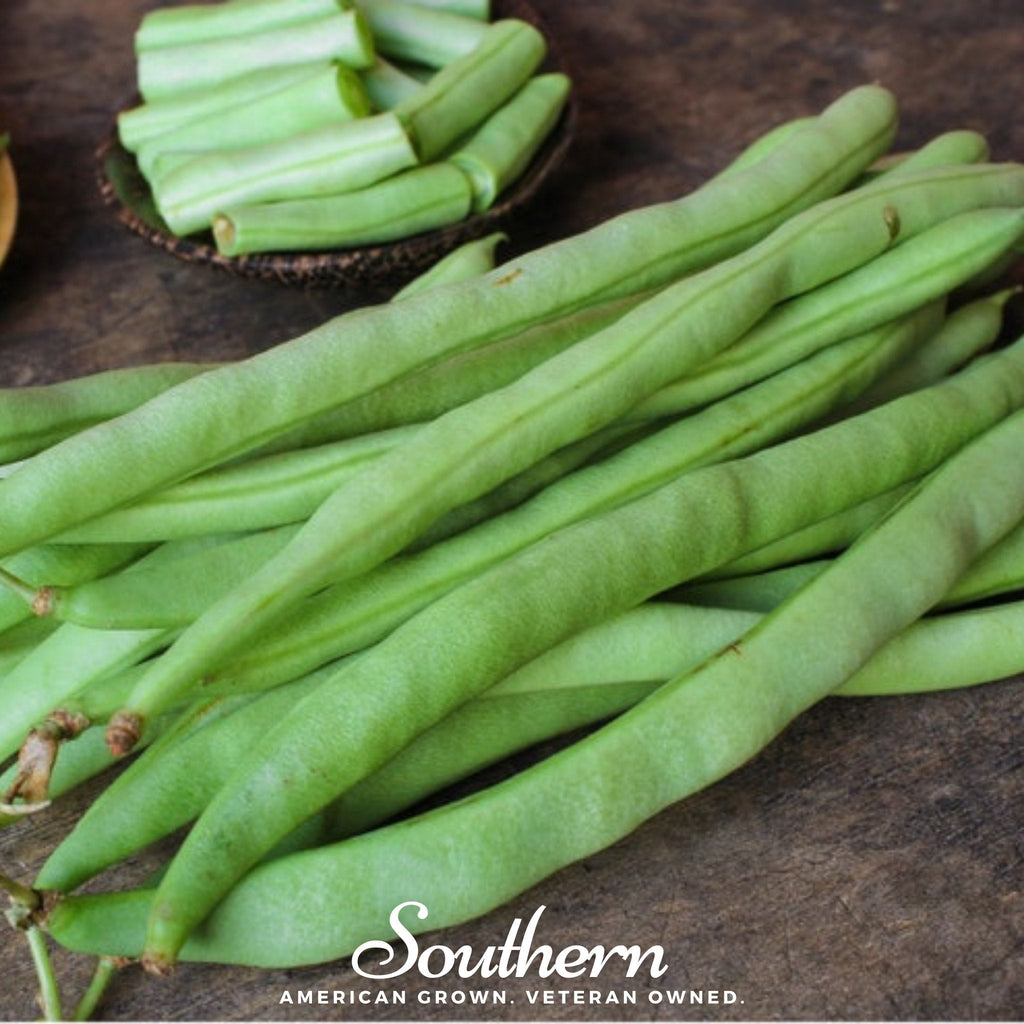 Kentucky Wonder Bean (Pole) – 50 Seeds Southern Seeds