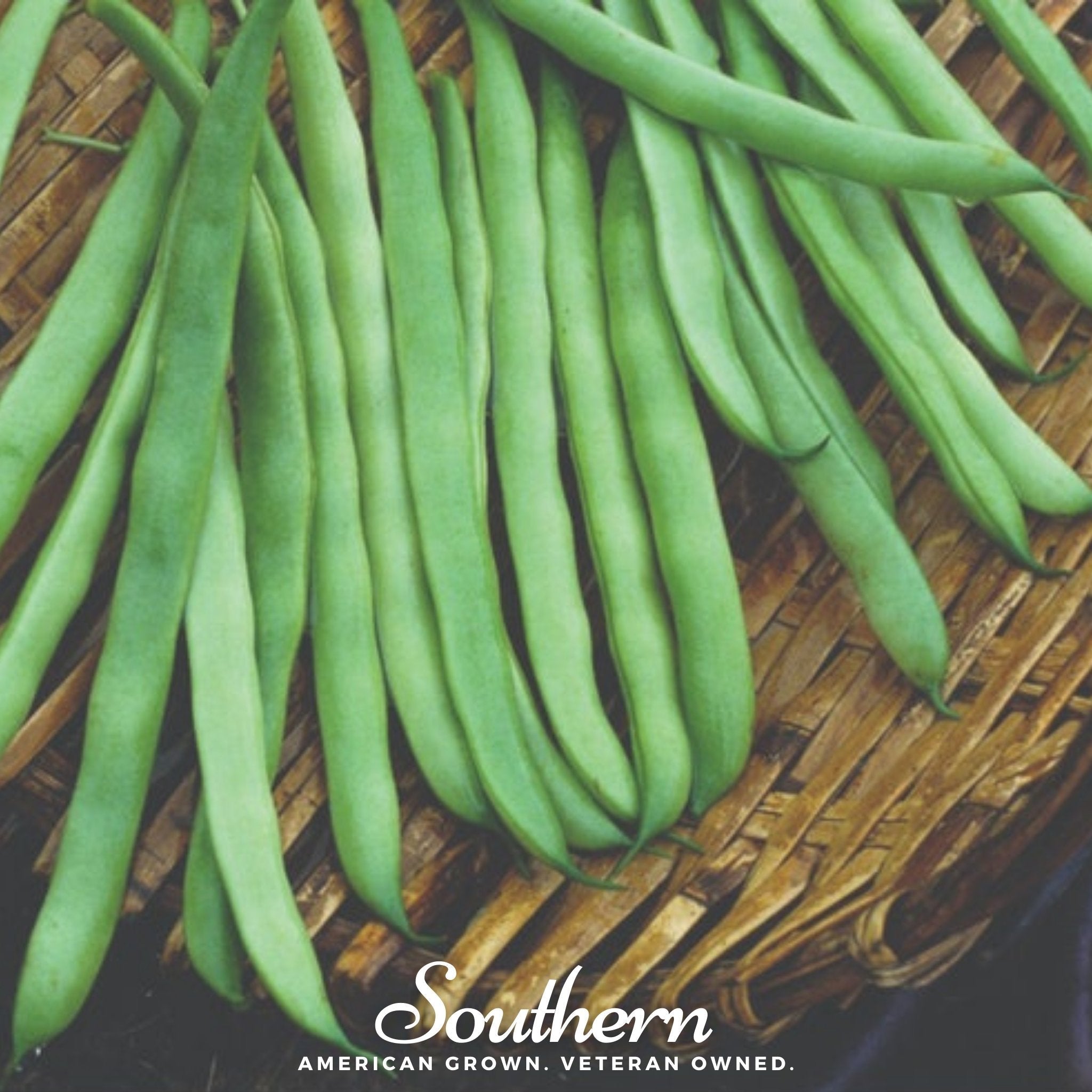 Kentucky Wonder Bean (Pole) – 50 Seeds Southern Seeds