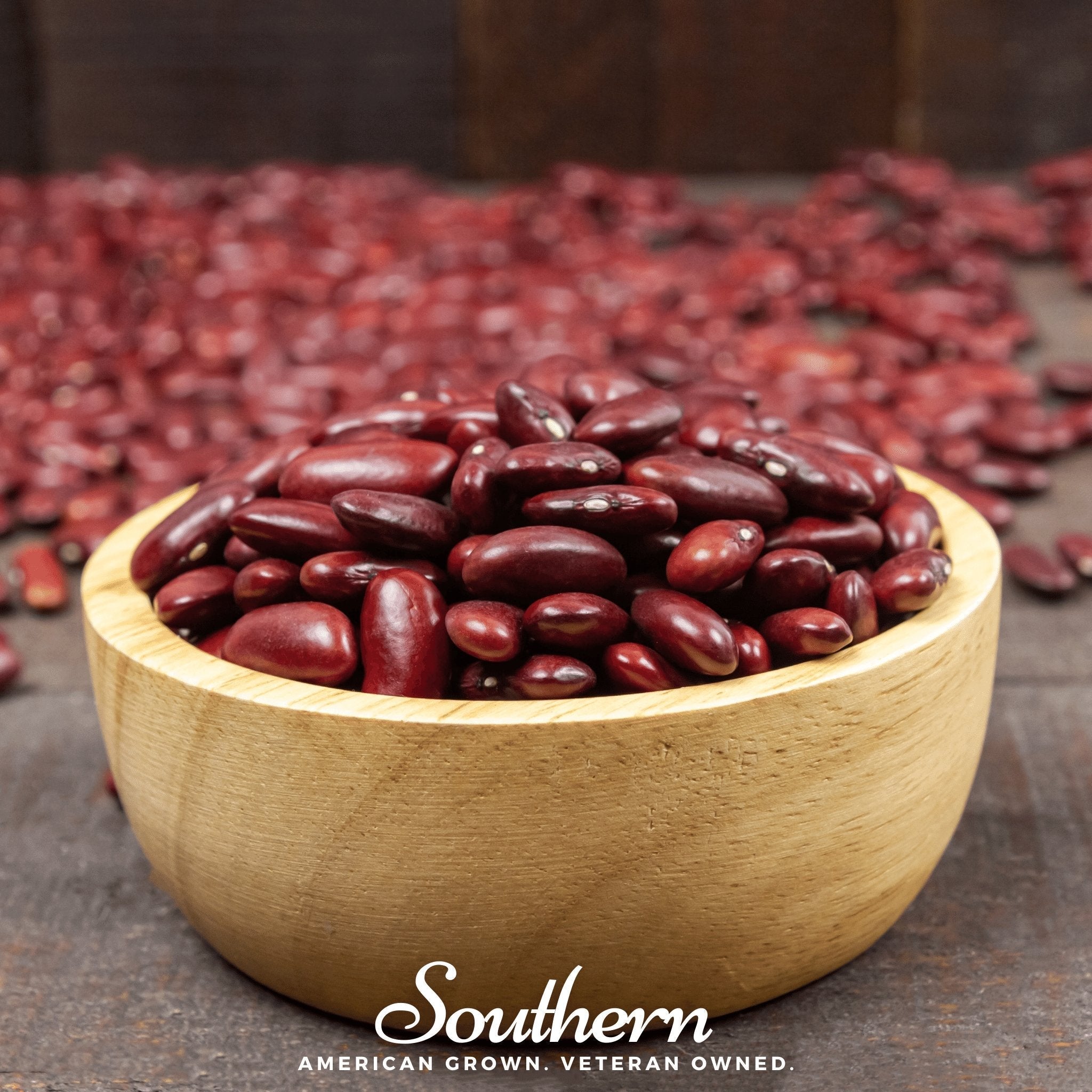 Dark Red Kidney Bean (Bush) – 20 Seeds Southern Seeds
