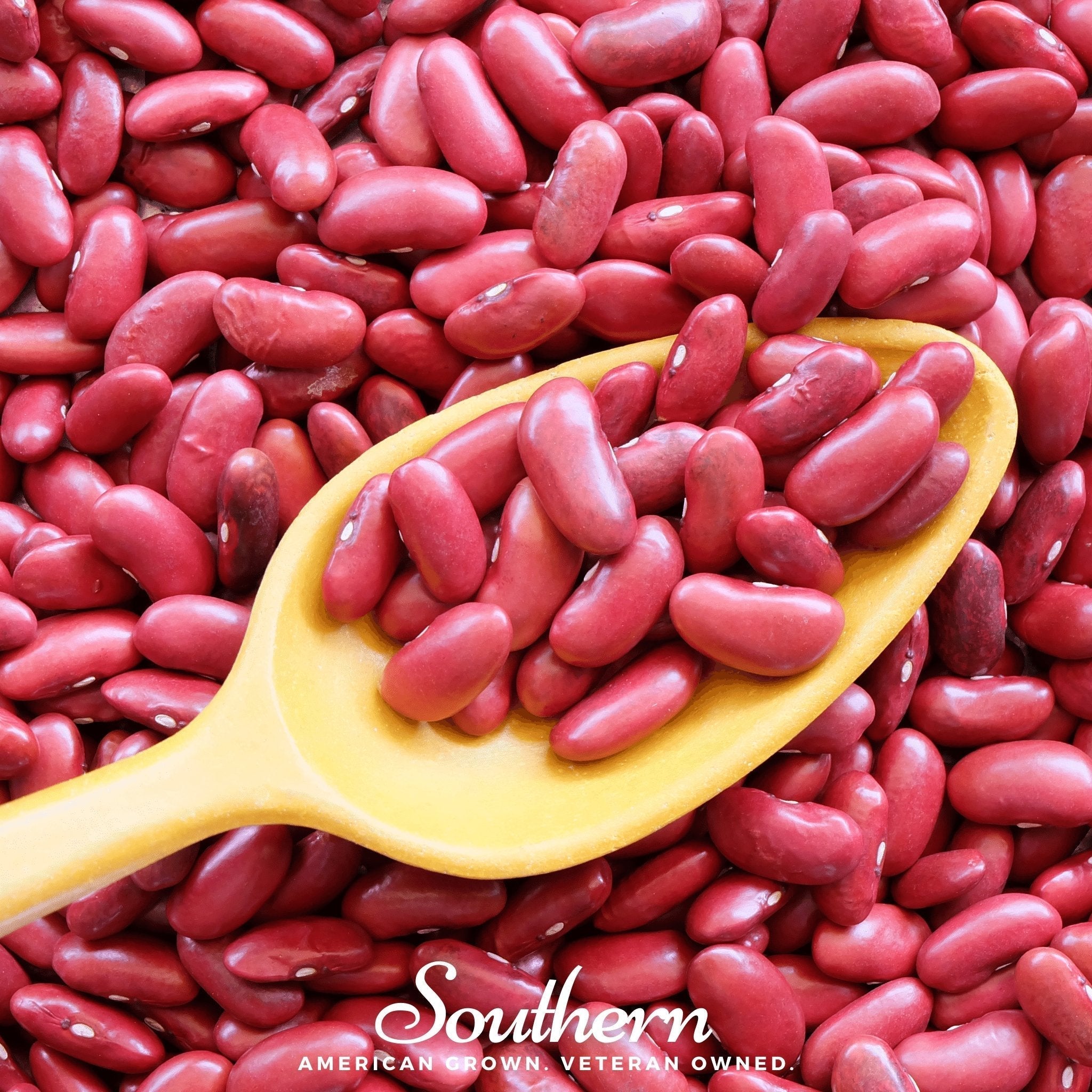 Light Red Kidney Bean (Bush) – 20 Seeds Southern Seeds