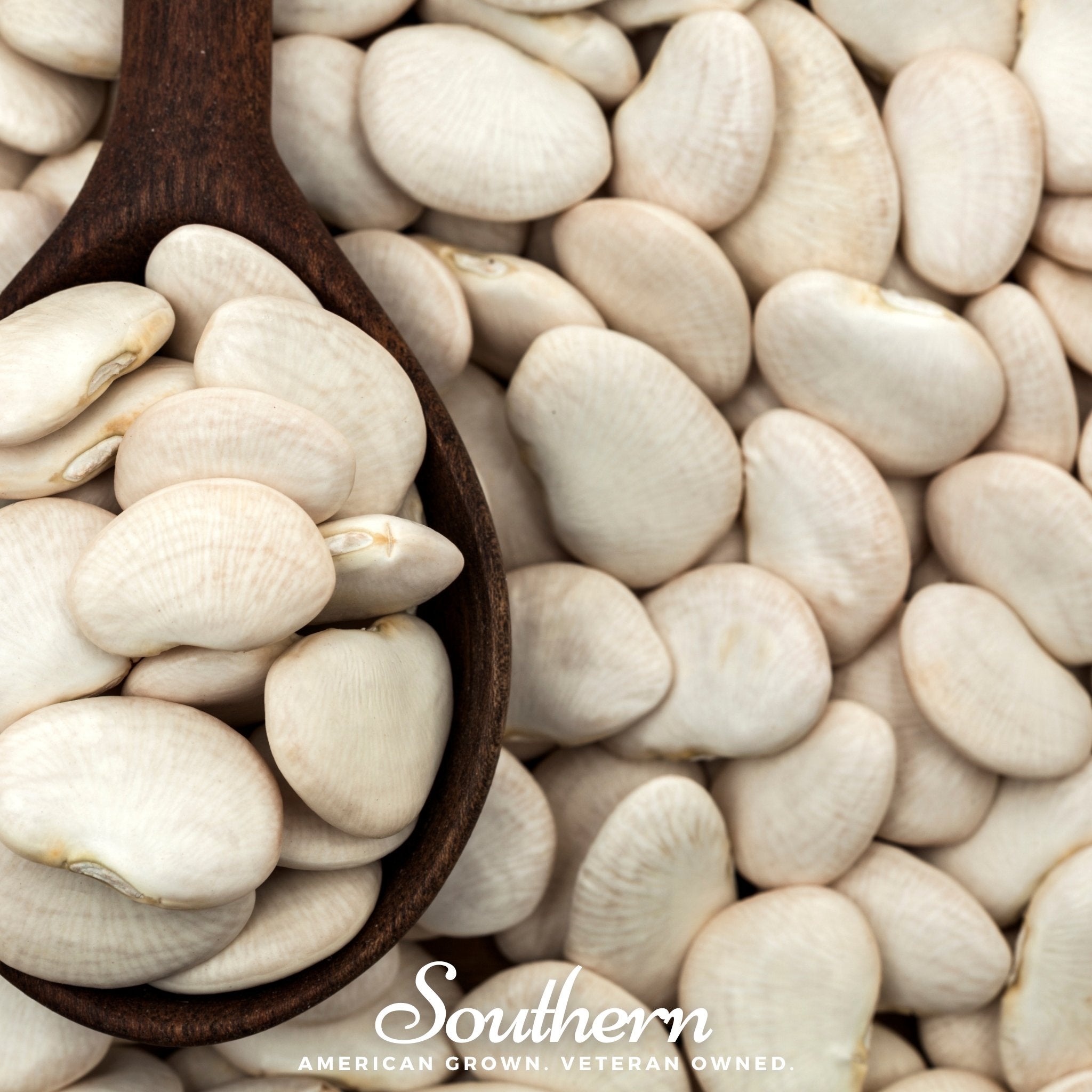 King of the Garden Lima Bean (Pole) – 15 Seeds Southern Seeds
