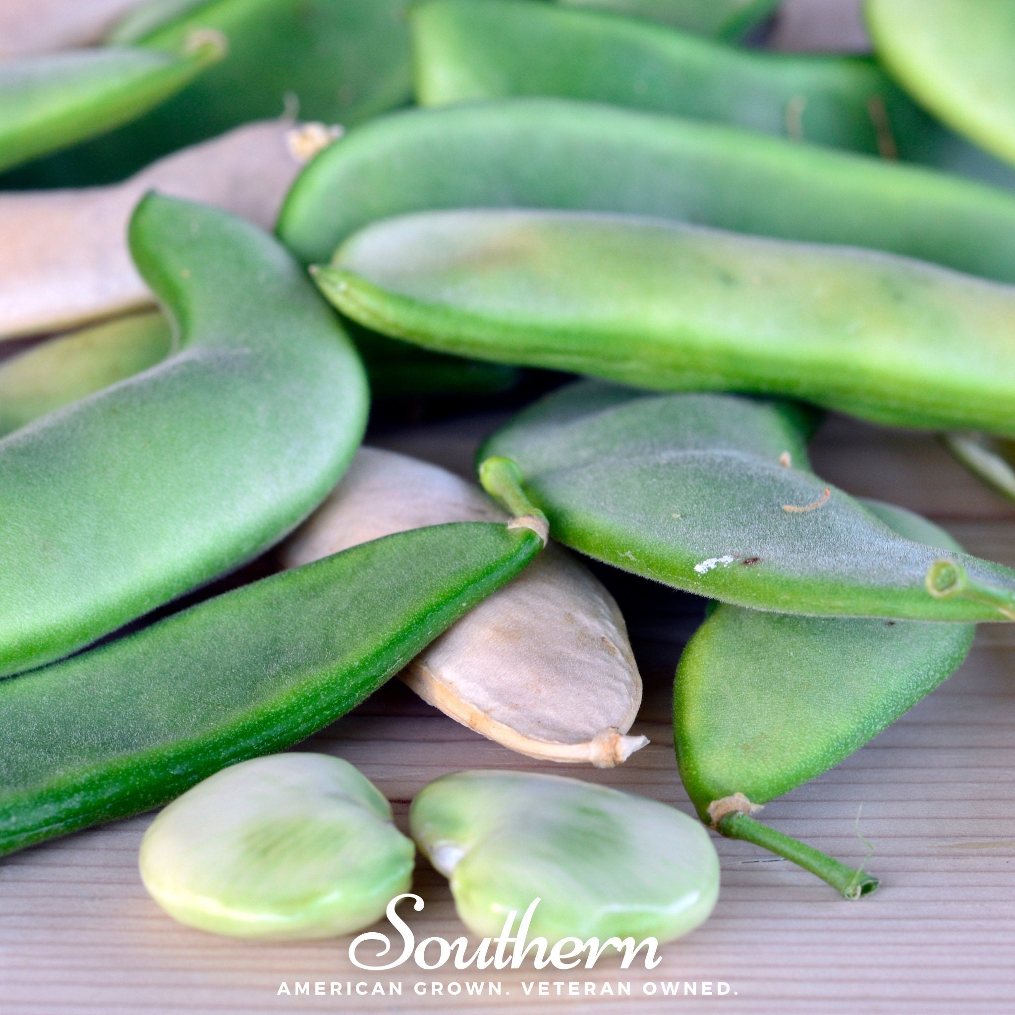 White Dixie Butterpeas Lima Bean (Bush) – 15 Seeds Southern Seeds