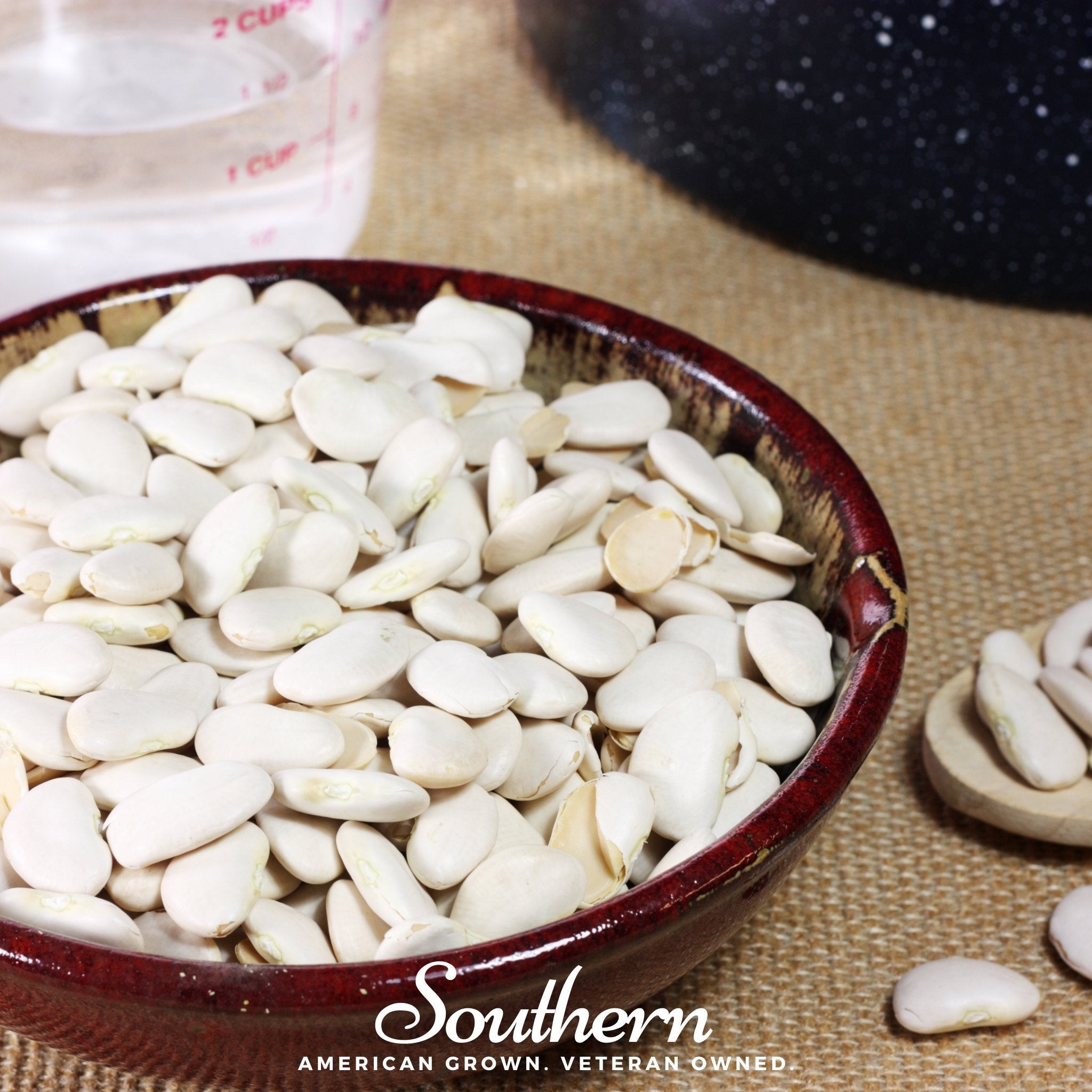 White Dixie Butterpeas Lima Bean (Bush) – 15 Seeds Southern Seeds