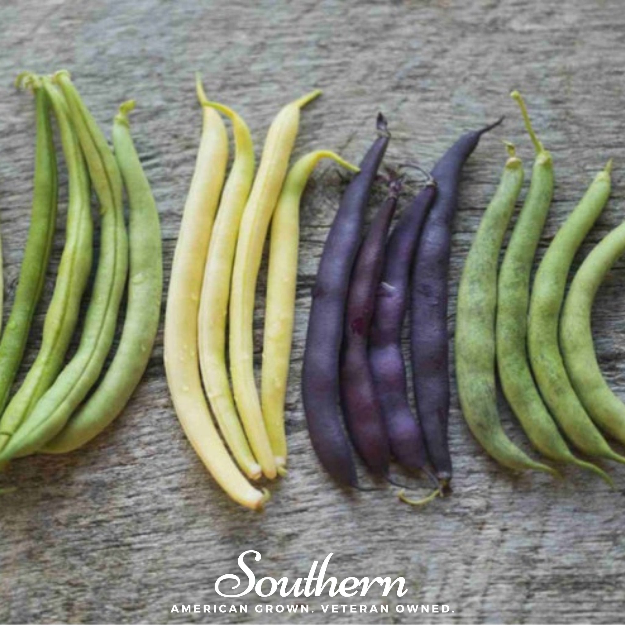 Multicolored Mix Lima Bean (Pole) – 30 Seeds Southern Seeds