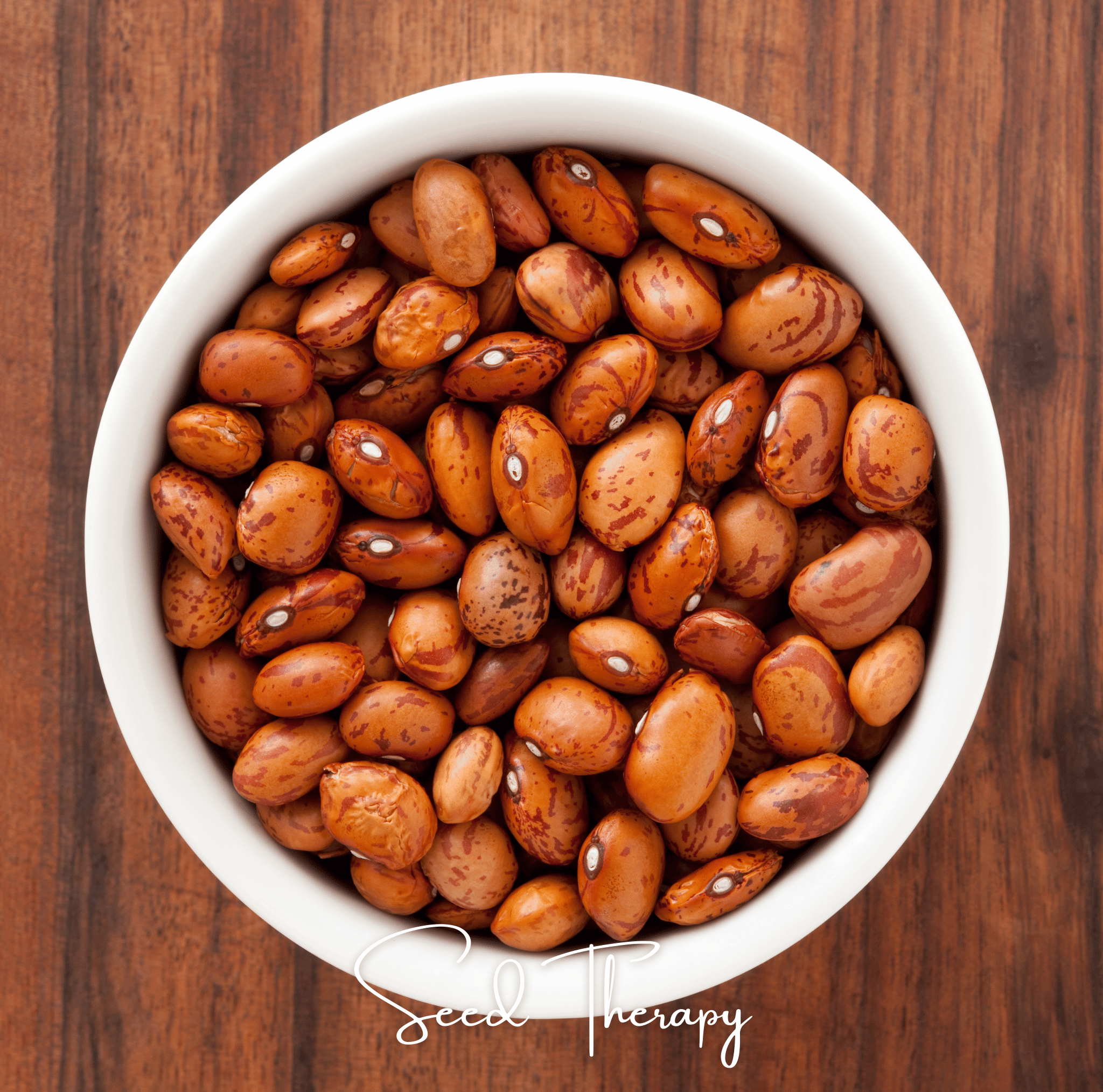 Pinto Bean – 20 Seeds Southern Seeds