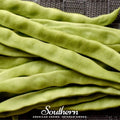 Roma II Bean (Bush Bean) – 30 Seeds Southern Seeds