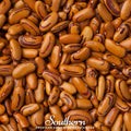 Tiger's Eye Bean (Bush) – 30 Seeds Southern Seeds