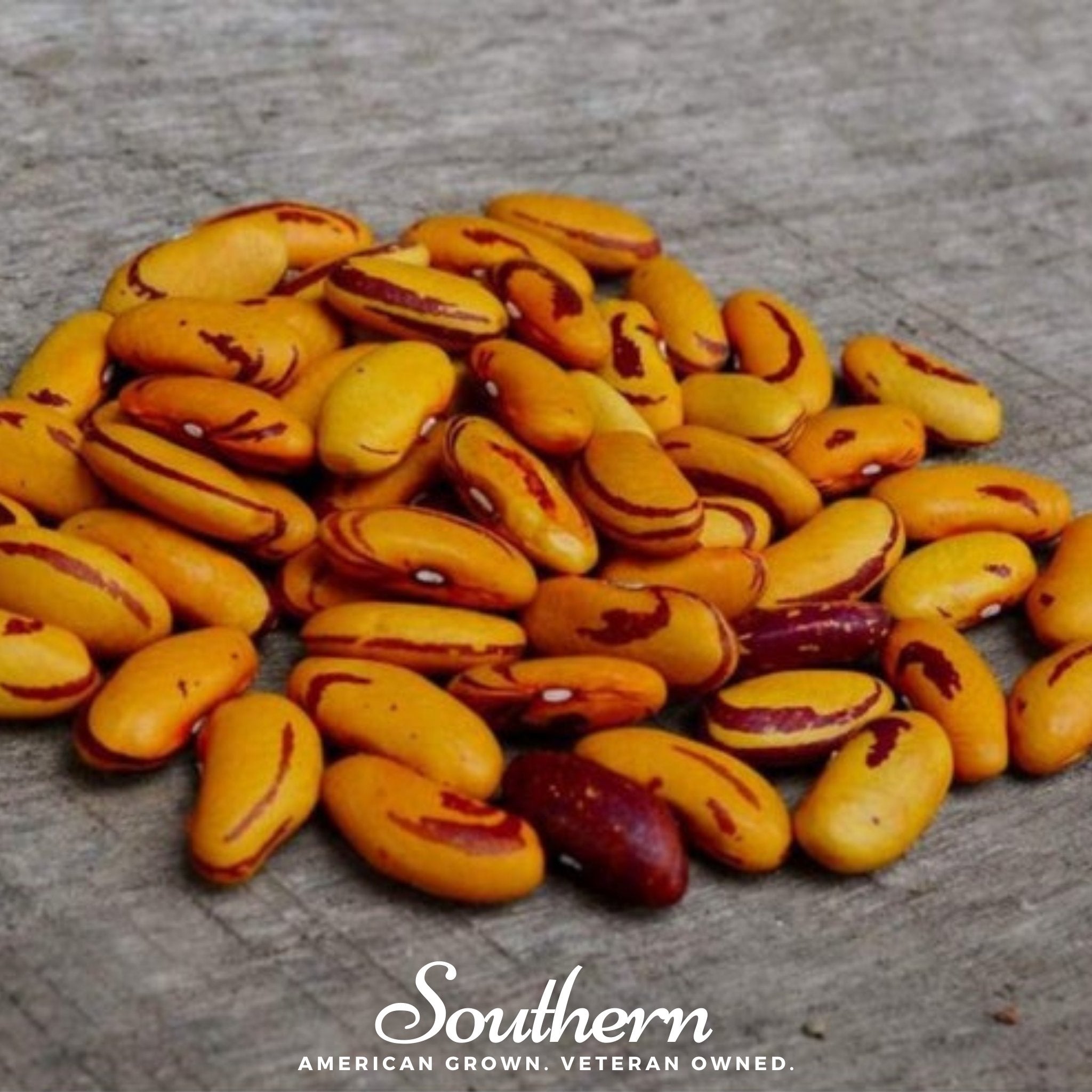 Tiger's Eye Bean (Bush) – 30 Seeds Southern Seeds