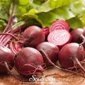 Chioggia Beet – 100 Seeds Southern Seeds