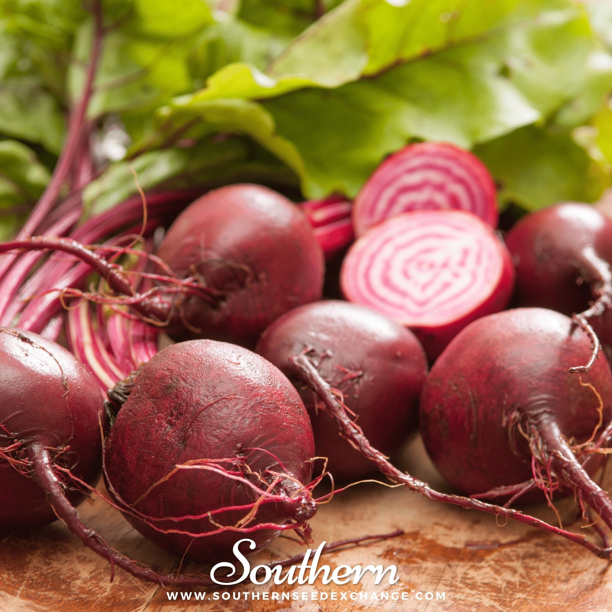 Chioggia Beet – 100 Seeds Southern Seeds