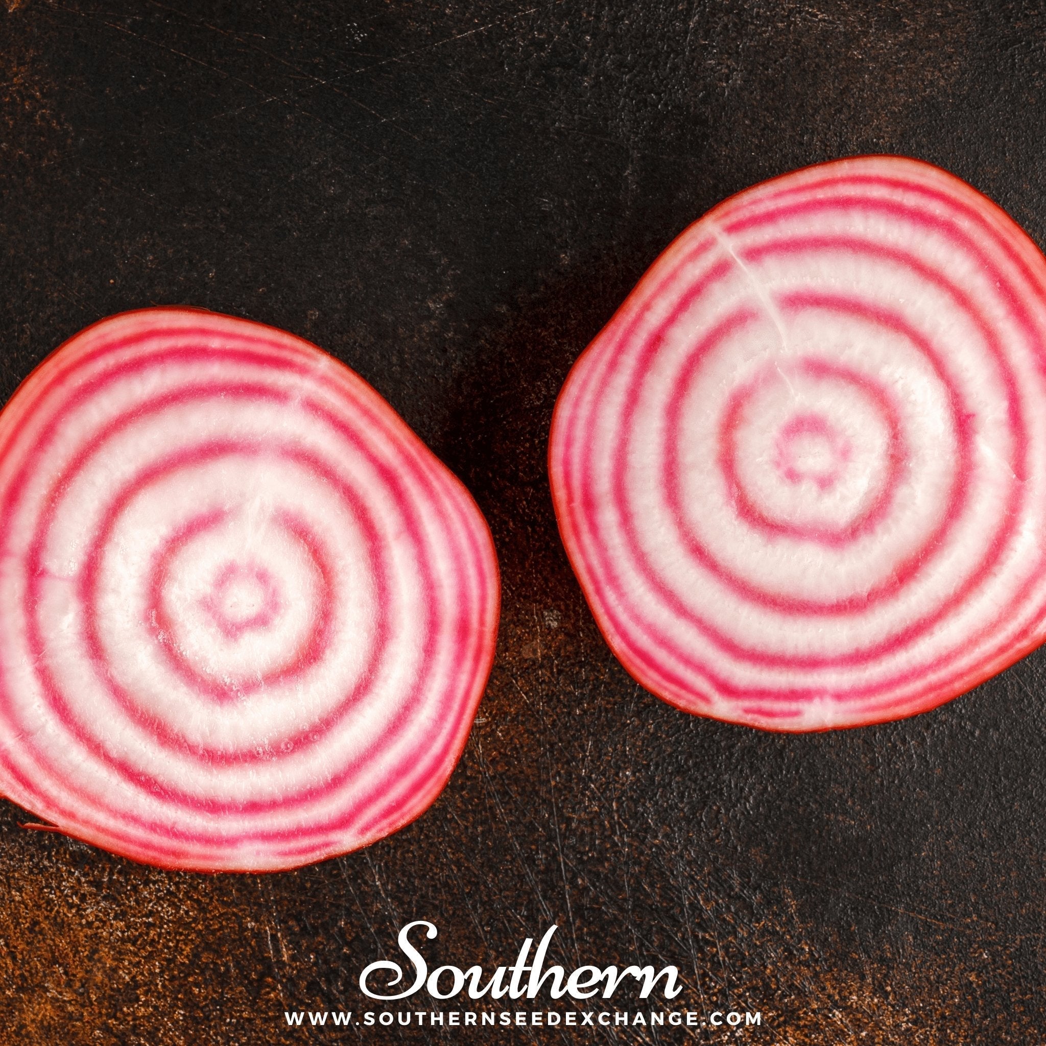 Chioggia Beet – 100 Seeds Southern Seeds