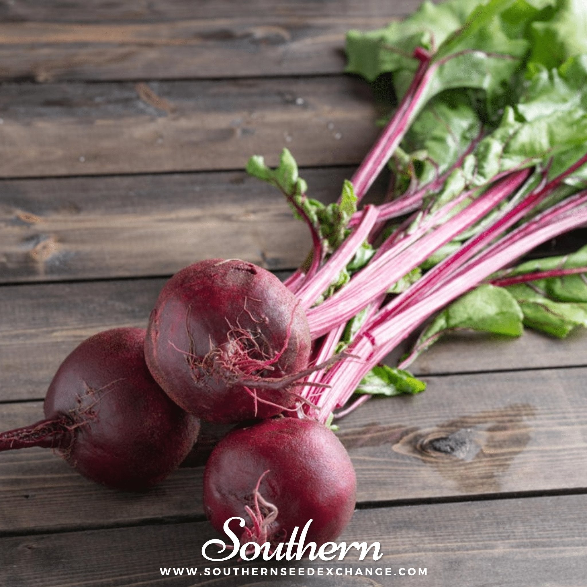 Crosby’s Egyptian Beet – 100 Seeds Southern Seeds