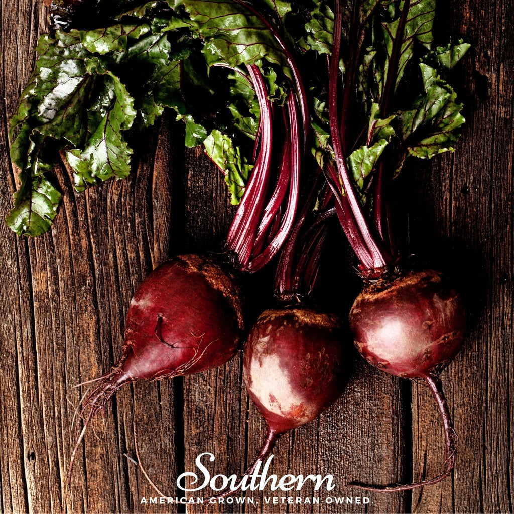 Detroit Dark Red Beet – 200 Seeds Southern Seeds
