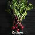 Detroit Dark Red Beet – 200 Seeds Southern Seeds