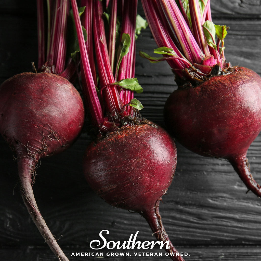 Detroit Dark Red Beet – 200 Seeds Southern Seeds