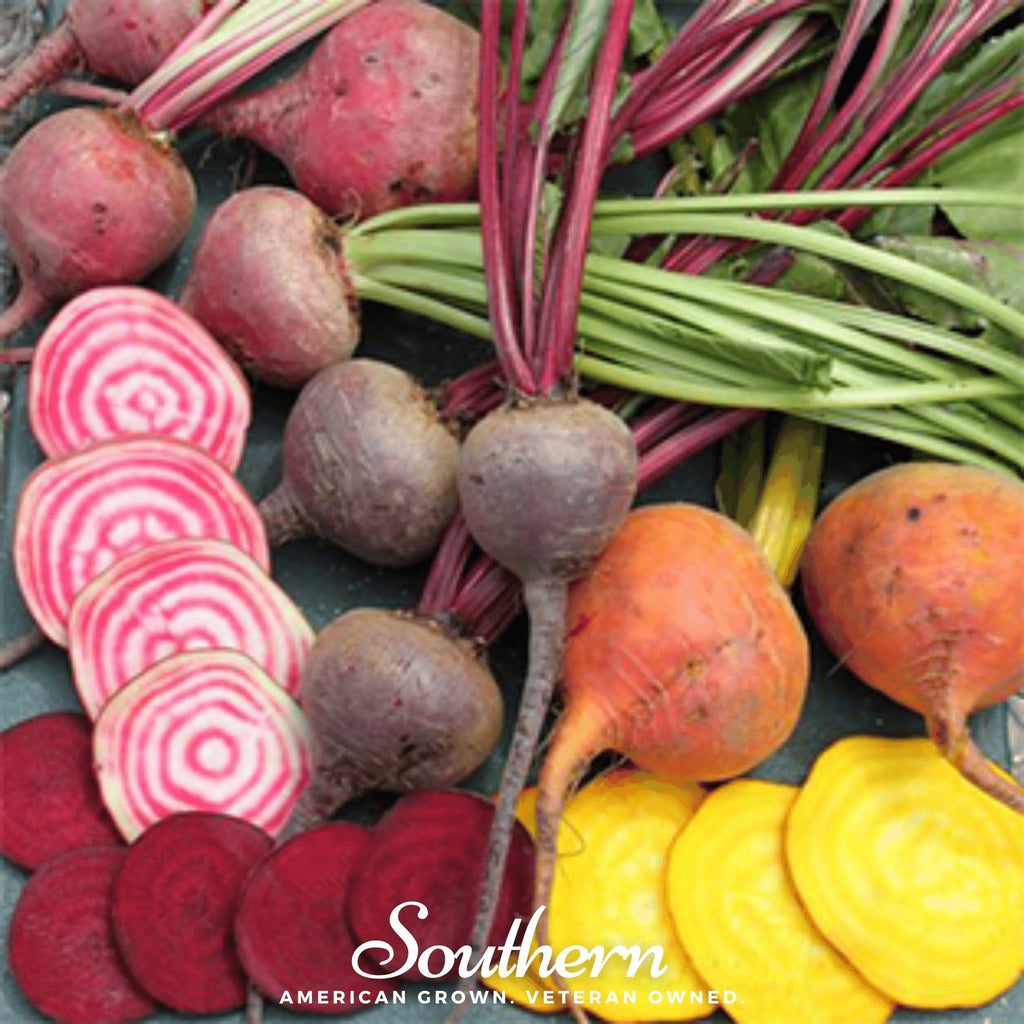 Gourmet Blend Beet – 50 Seeds Southern Seeds