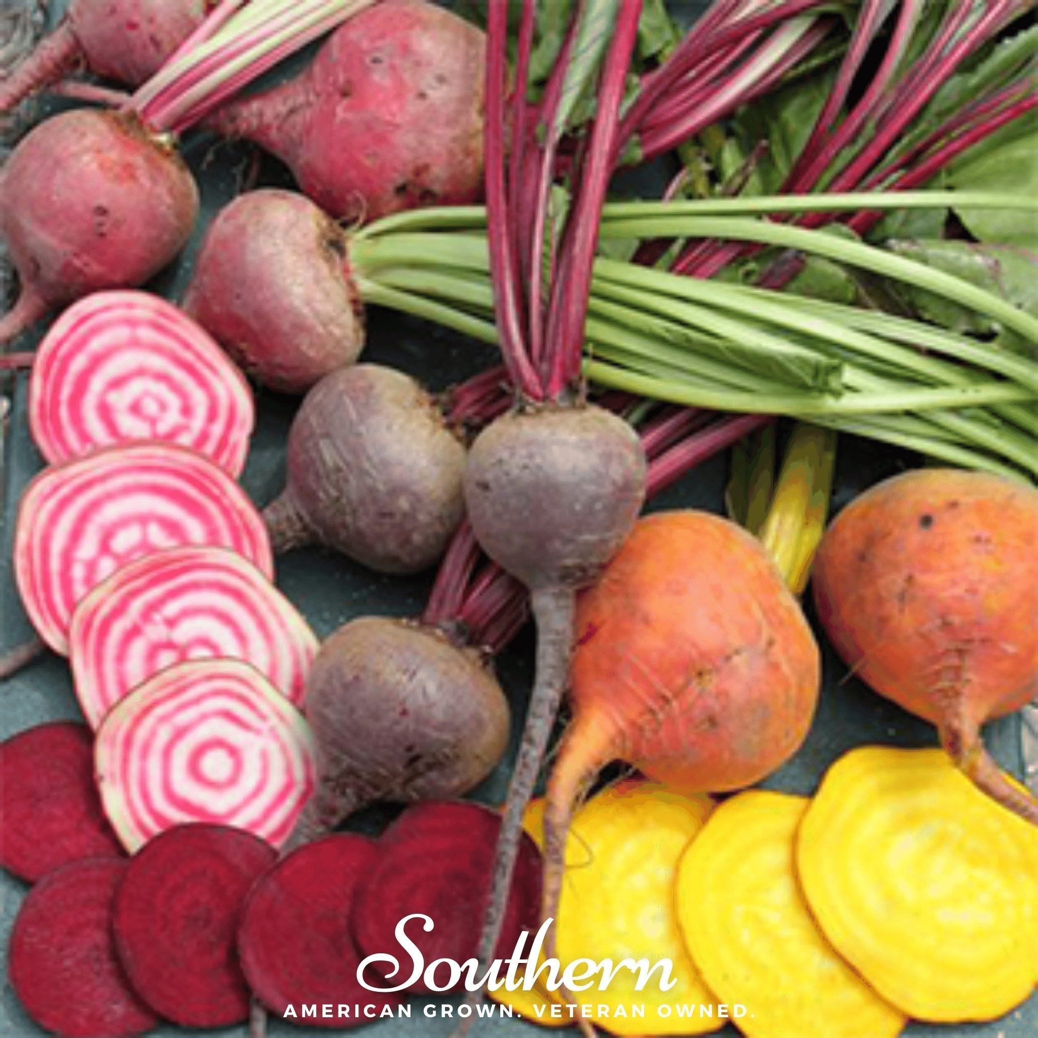 Gourmet Blend Beet – 50 Seeds Southern Seeds