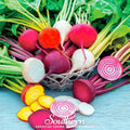 Gourmet Blend Beet – 50 Seeds Southern Seeds