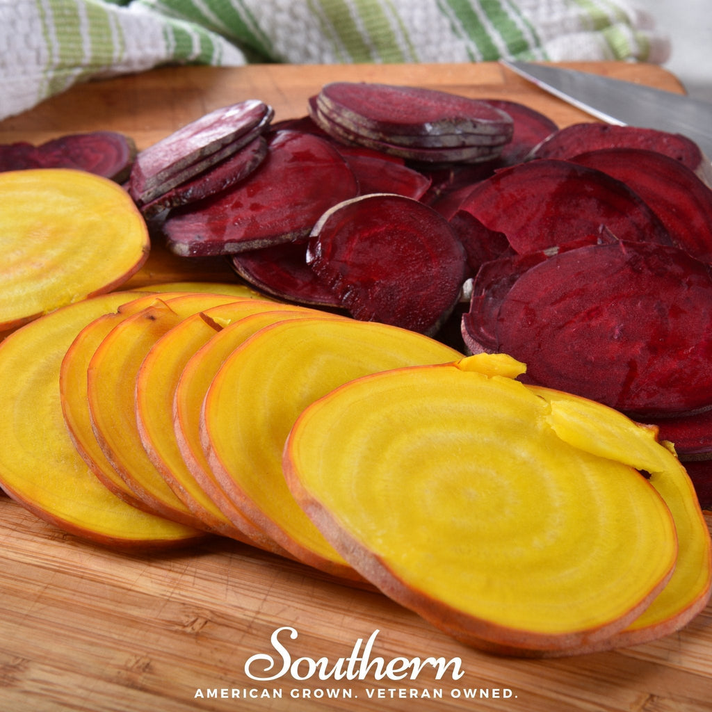 Touchstone Beet – 50 Seeds Southern Seeds