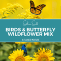Birds & Butterfly Wildflower Seed Mix (14 Varieties) – 1,000 Seeds Southern Seeds