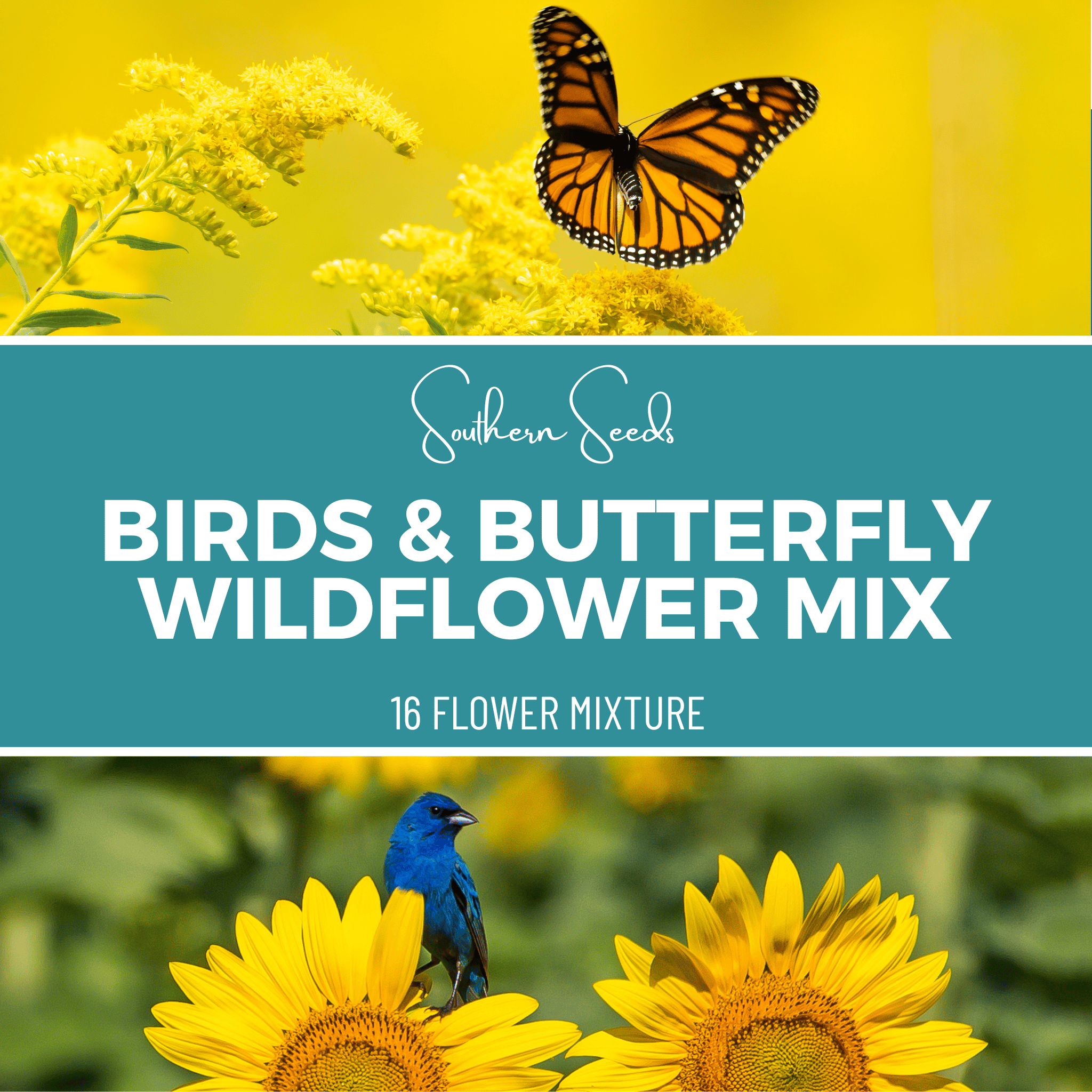 Birds & Butterfly Wildflower Seed Mix (14 Varieties) – 1,000 Seeds Southern Seeds