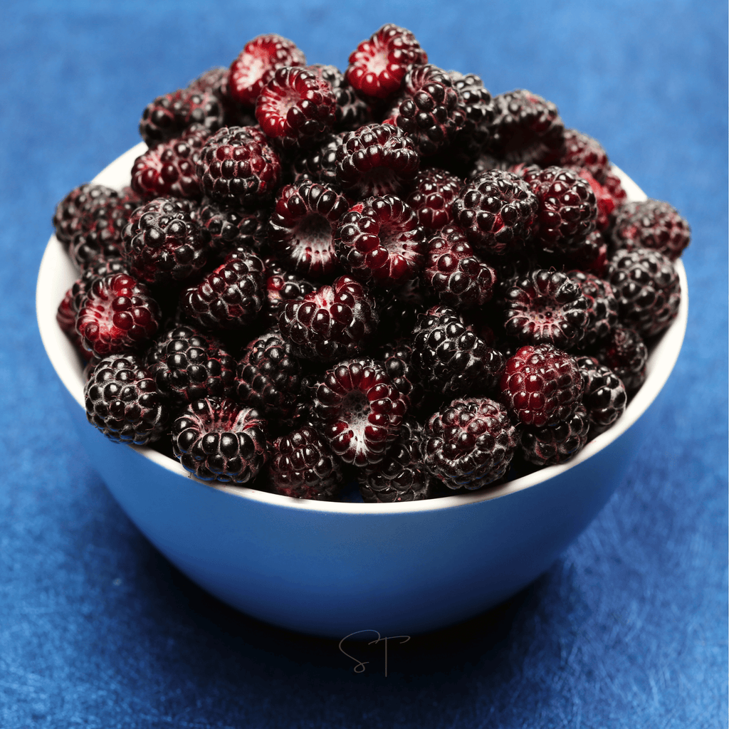 Black Raspberry – 30 Seeds Southern Seeds